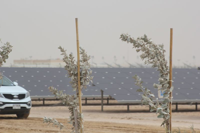 دبی در حال افتتاح بخشی از بزرگترین نیروگاه خورشیدی دنیا